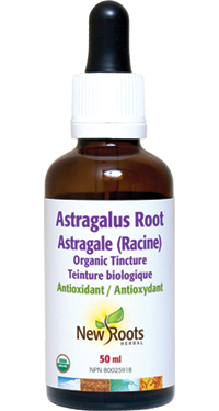 Astragalus Root