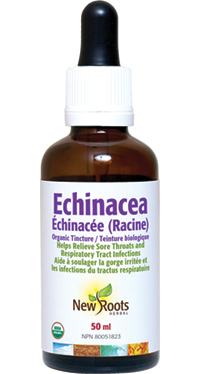 Echinacea