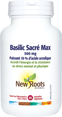 Basilic Sacré Max